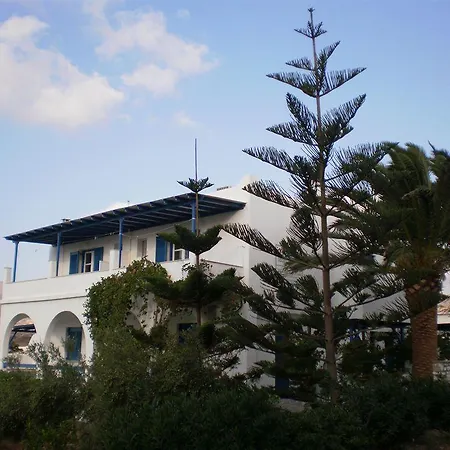 Oasis *