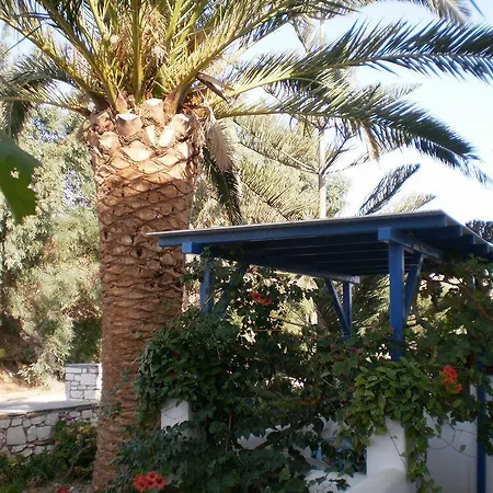Oasis Apartment