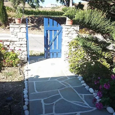 Oasis *