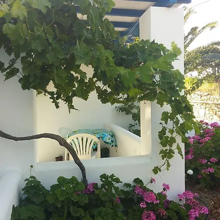 Oasis
